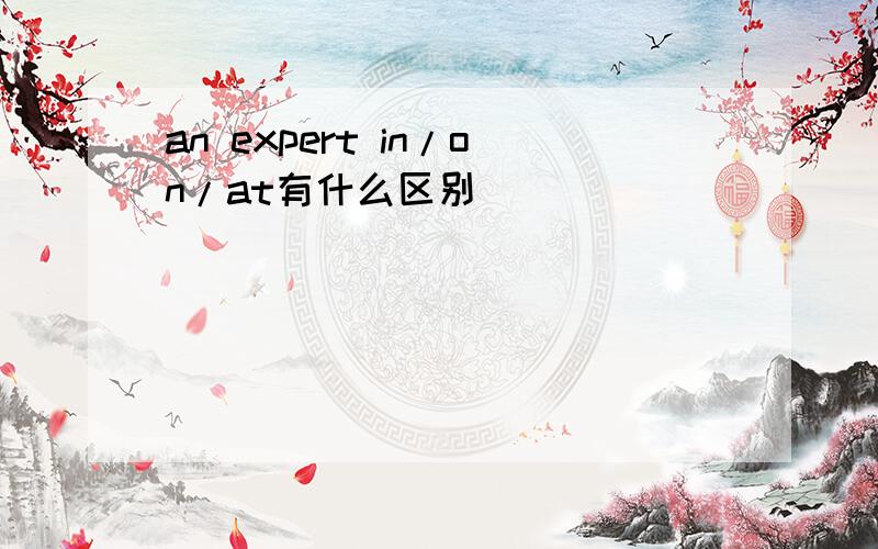 an expert in/on/at有什么区别