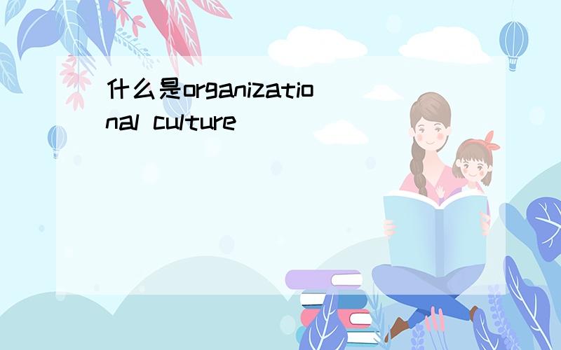 什么是organizational culture