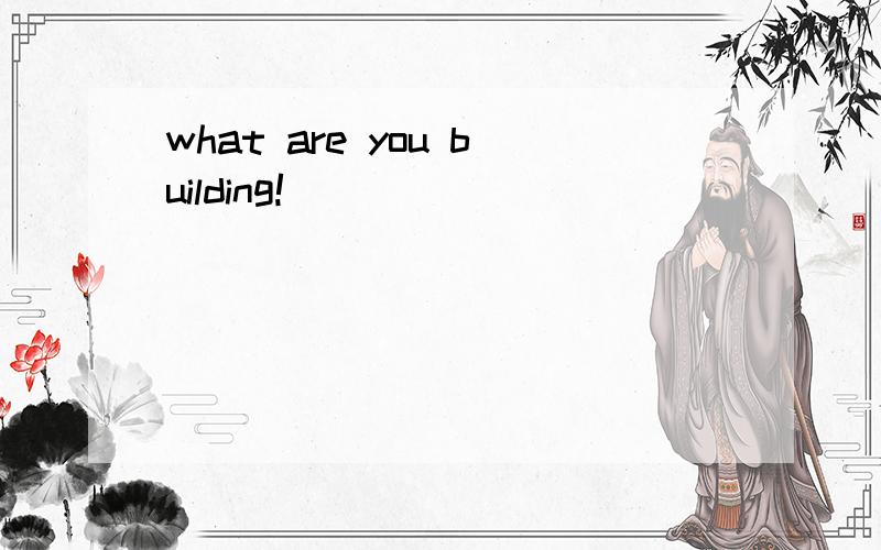 what are you building!