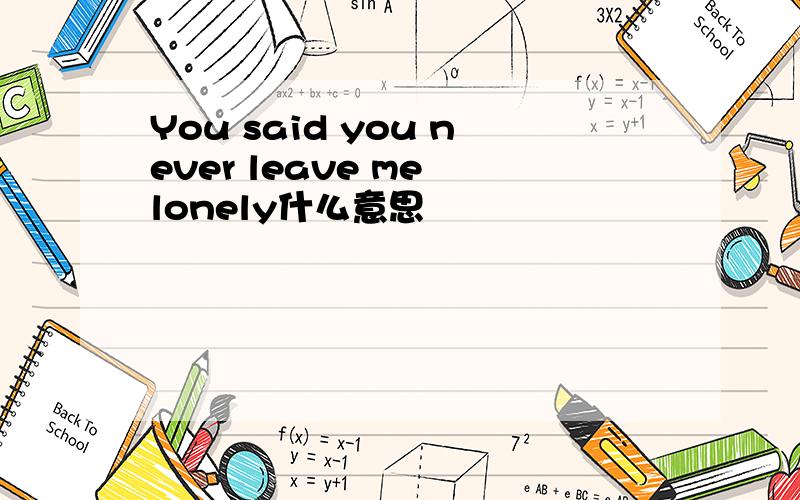 You said you never leave me lonely什么意思