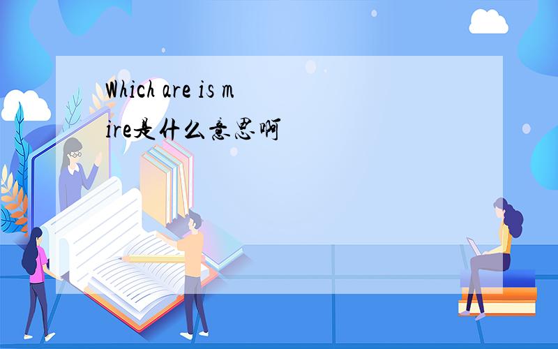Which are is mire是什么意思啊