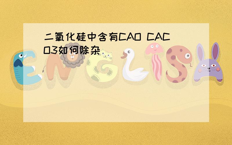 二氧化硅中含有CAO CACO3如何除杂