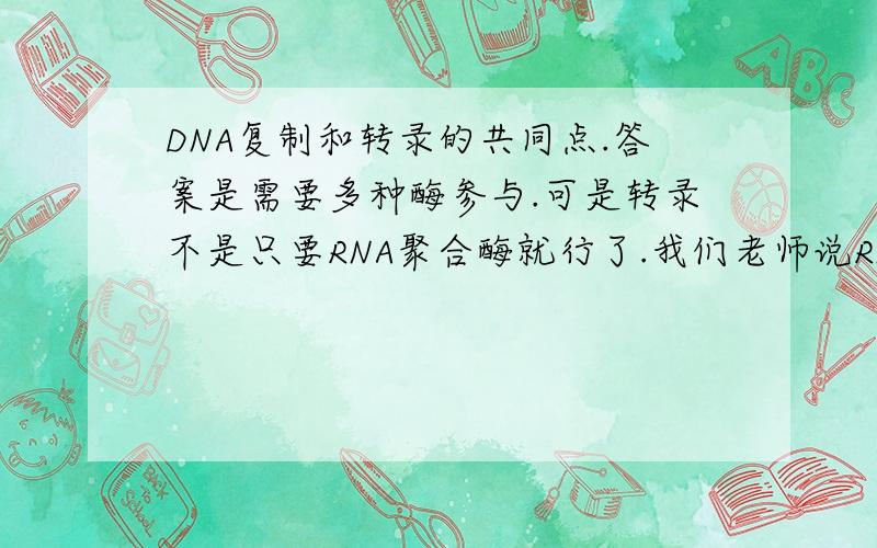 DNA复制和转录的共同点.答案是需要多种酶参与.可是转录不是只要RNA聚合酶就行了.我们老师说RNA聚合酶有解旋酶的作用.还有它们都是遵循碱基互补配对原.这句话为什么不对.第二个问题.减数